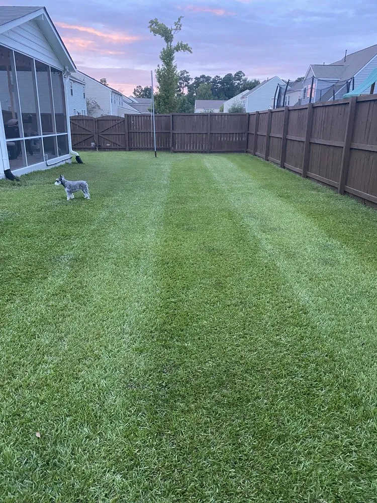 Local landscape design for outdoor upgrades in Summerville, SC by Fehr Winds Landscaping