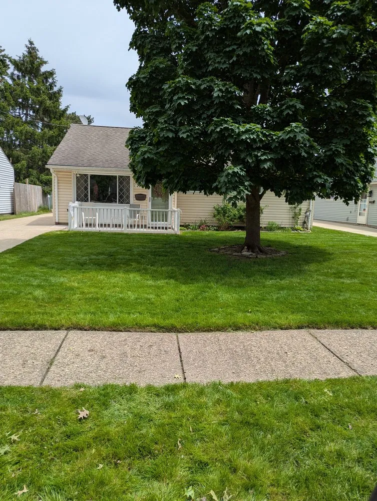 Custom yard cleanup service with custom design in Akron, OH by Feiteira's Landscaping