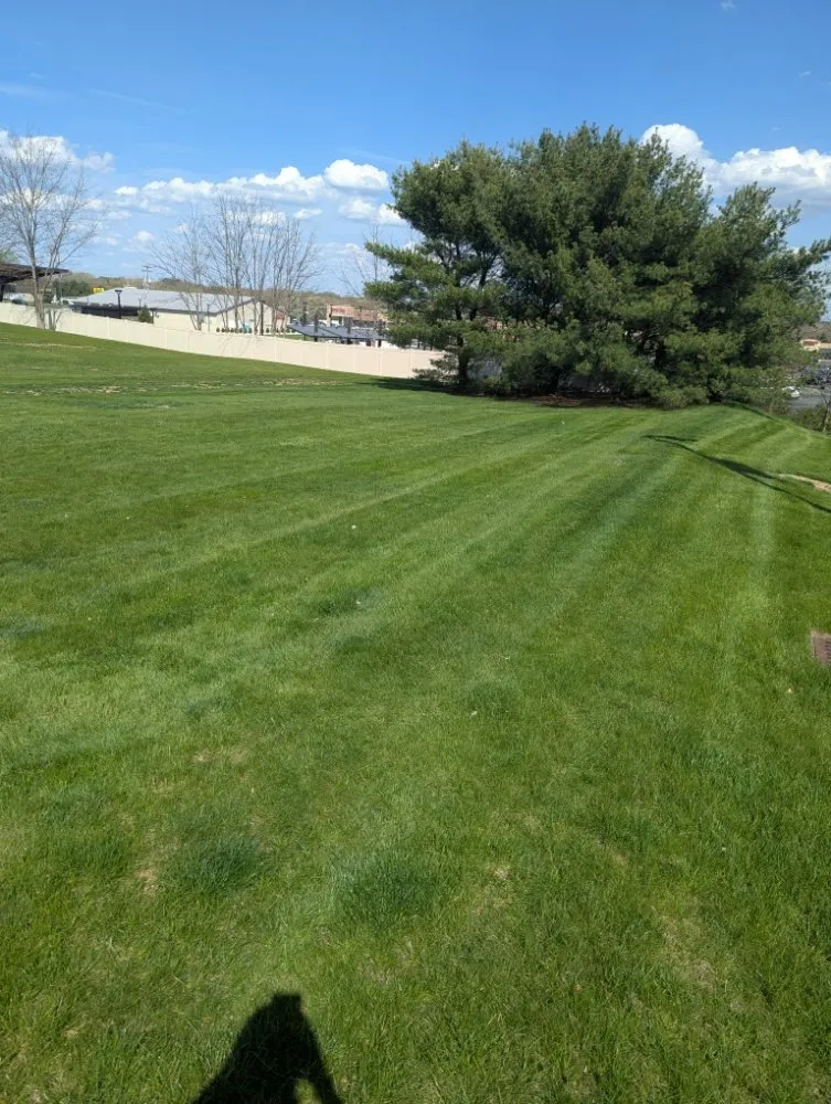 Professional landscape design near you across Akron, OH - Feiteira's Landscaping