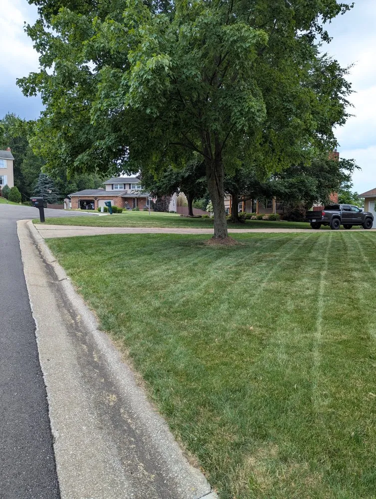 Trusted yard cleanup service for outdoor upgrades in Akron, OH by Feiteira's Landscaping