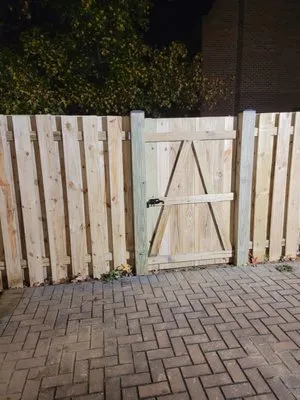 Feliciano Gonzalez Logo