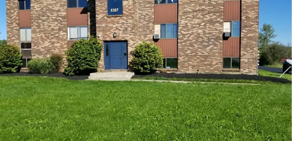 Top-rated yard cleanup service for residential properties across Cheektowaga, NY - Feliciano Services