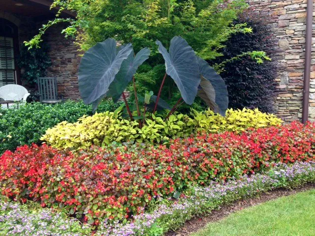 Custom residential landscaping in Greenville, SC by Felicity's Flowers & Design