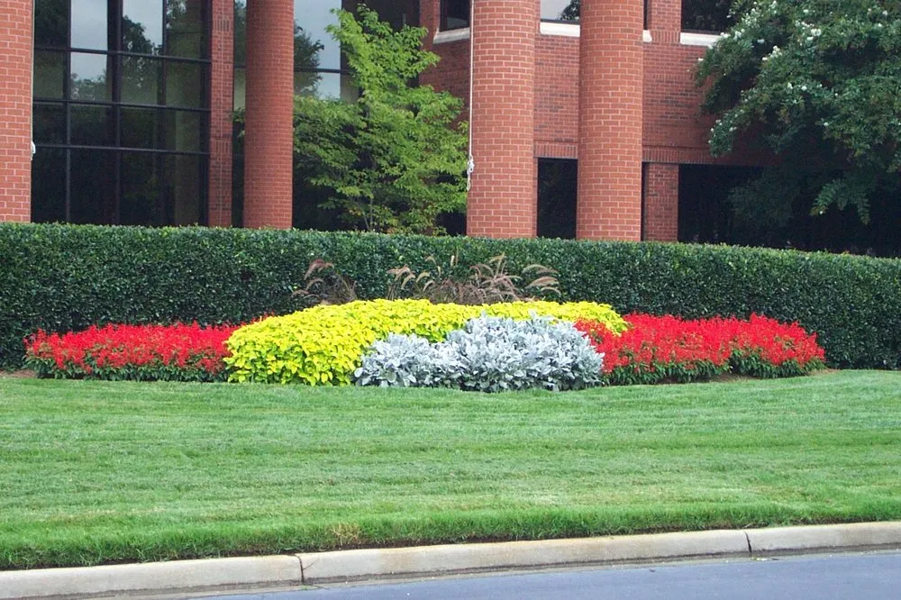 Top-rated residential landscaping for homes across Greenville, SC - Felicity's Flowers & Design