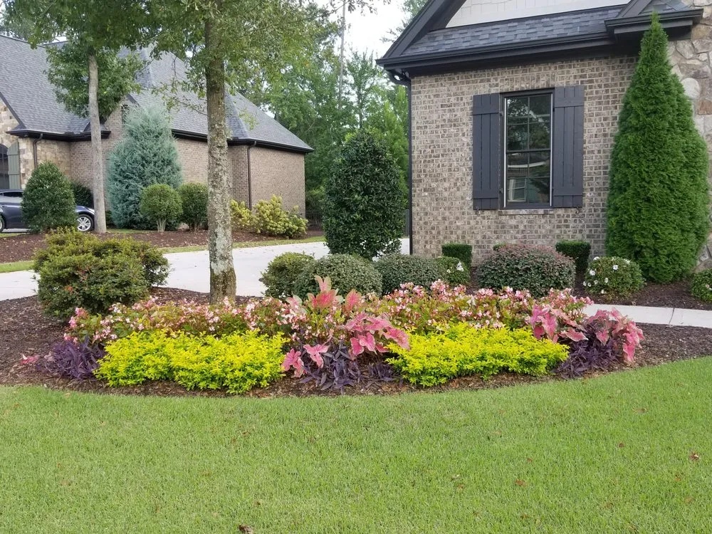Expert lawn care service in Greenville, SC - Felicity's Flowers & Design