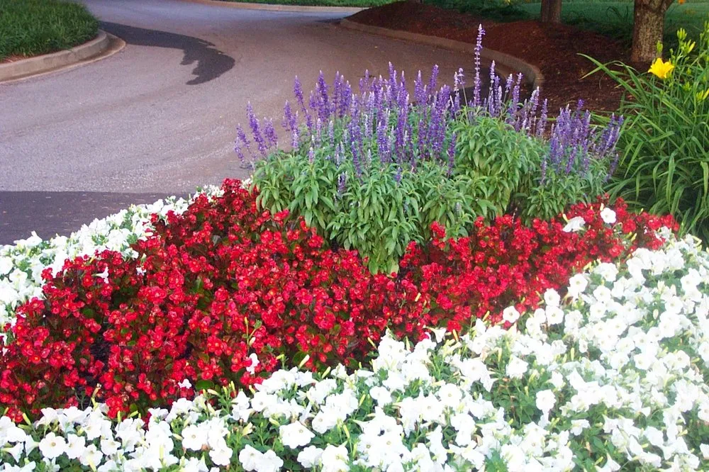 Custom yard cleanup service in Greenville, SC - Felicity's Flowers & Design