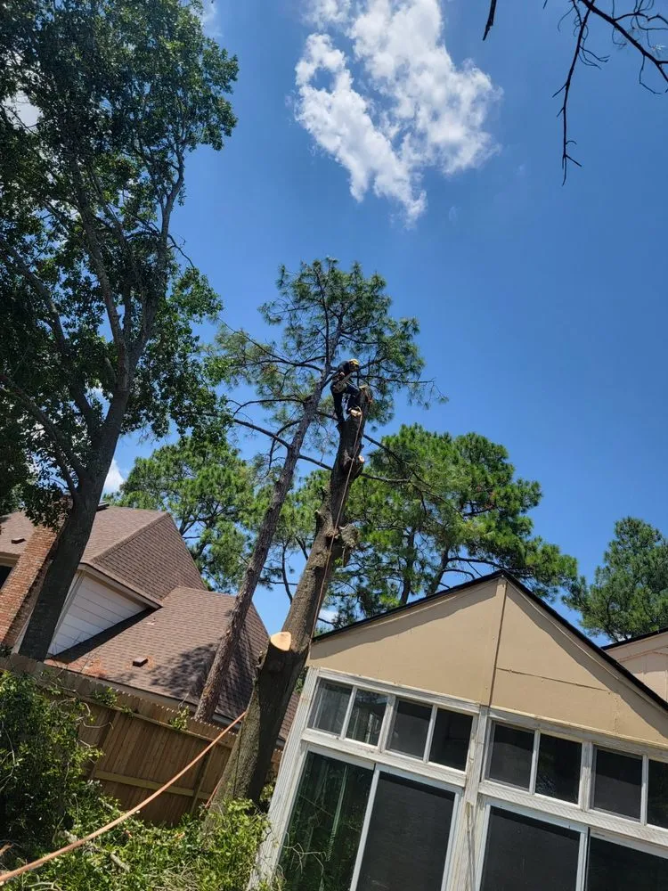 Trusted yard cleanup service in Spencer, MA by Felipa Landscaping