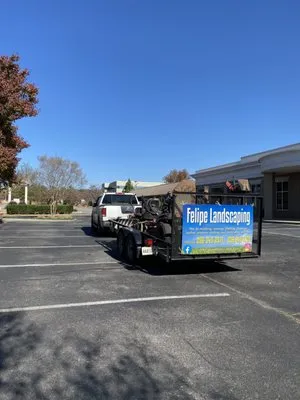 Felipe Landscaping Logo