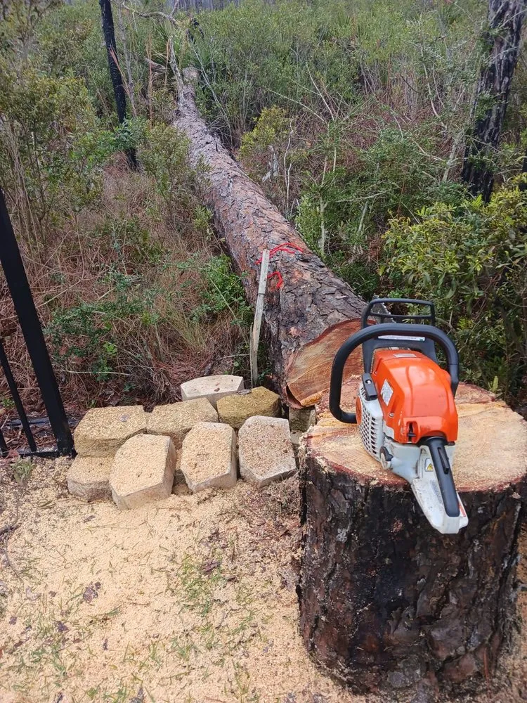 Top-rated landscape installation for year-round maintenance in DeFuniak Springs, FL by Felipe Lopez Lanscaping