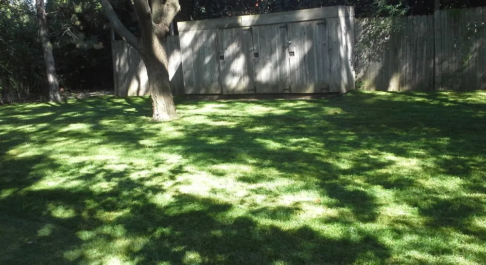 Trusted garden landscaping in Detroit, MI - Felipe's Complete Lawn Maintenance Service