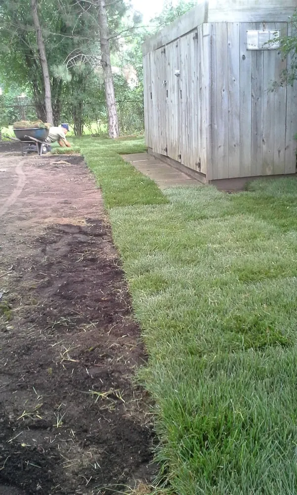 Trusted yard cleanup service for outdoor upgrades in Detroit, MI by Felipe's Complete Lawn Maintenance Service