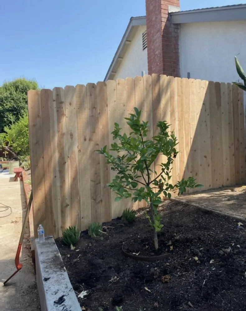 Professional landscape installation in Laguna Niguel, CA by Felipe's Landscape