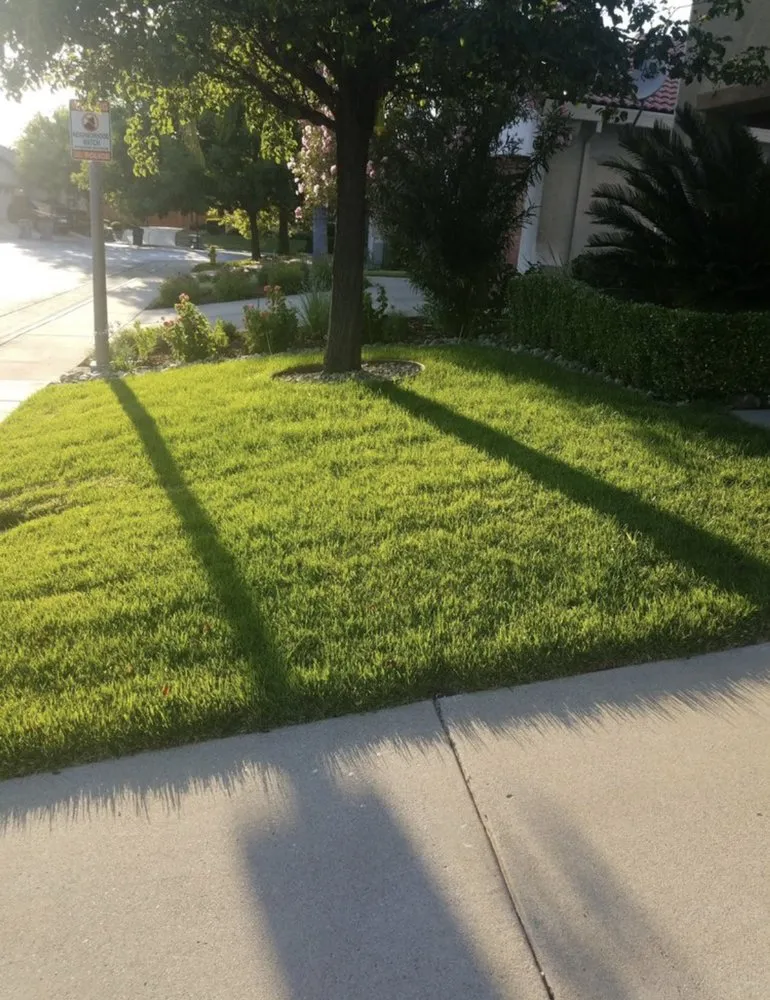 Affordable landscaping services experts serving Laguna Niguel, CA - Felipe's Landscape
