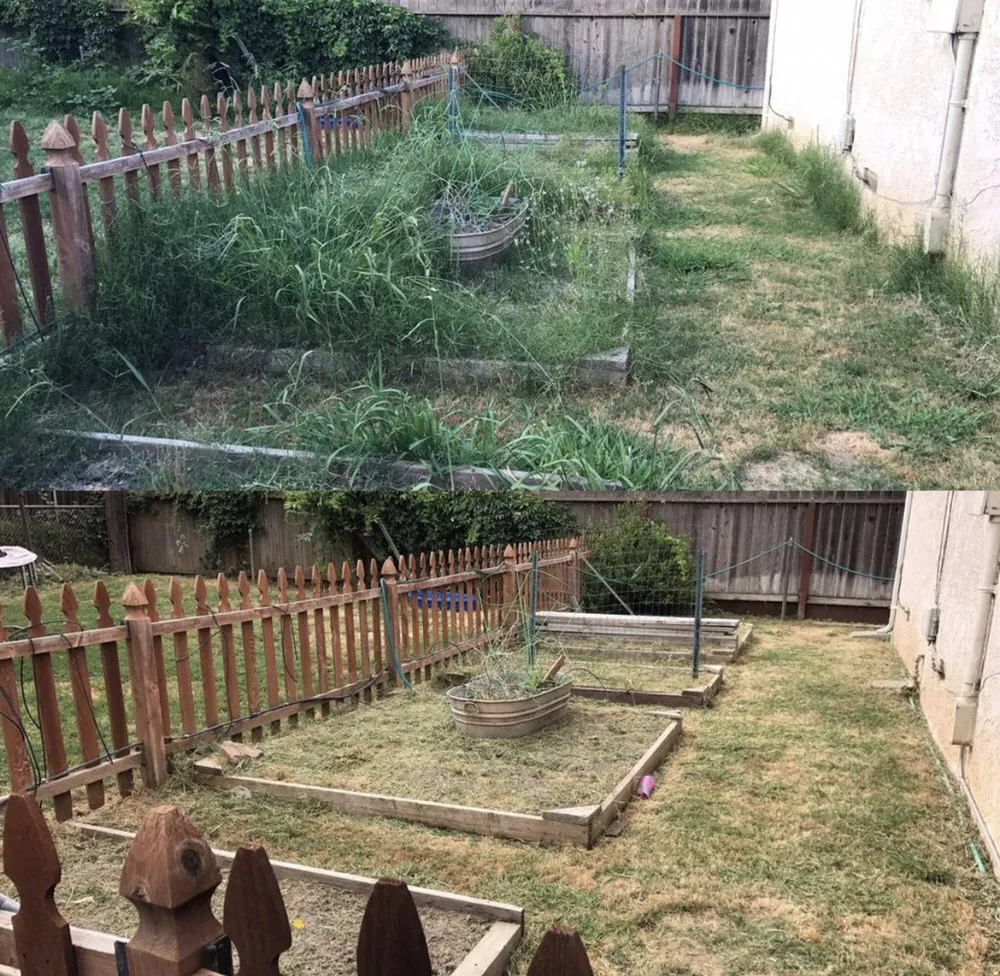 Professional yard maintenance for beautiful yards across Laguna Niguel, CA - Felipe's Landscape