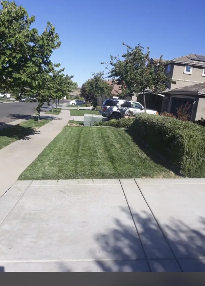 Trusted garden landscaping experts serving Laguna Niguel, CA - Felipe's Landscape