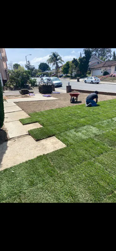 Professional garden landscaping in Laguna Niguel, CA by Felipe's Landscape