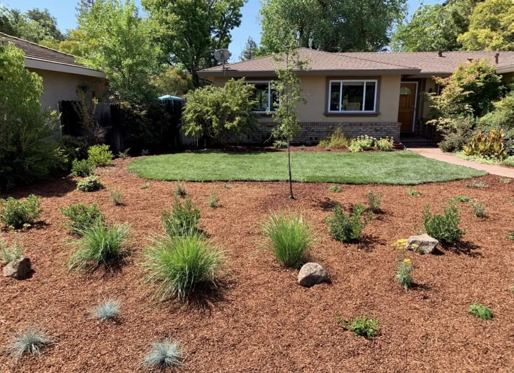 Trusted lawn mowing service for beautiful yards in Laguna Niguel, CA by Felipe's Landscape