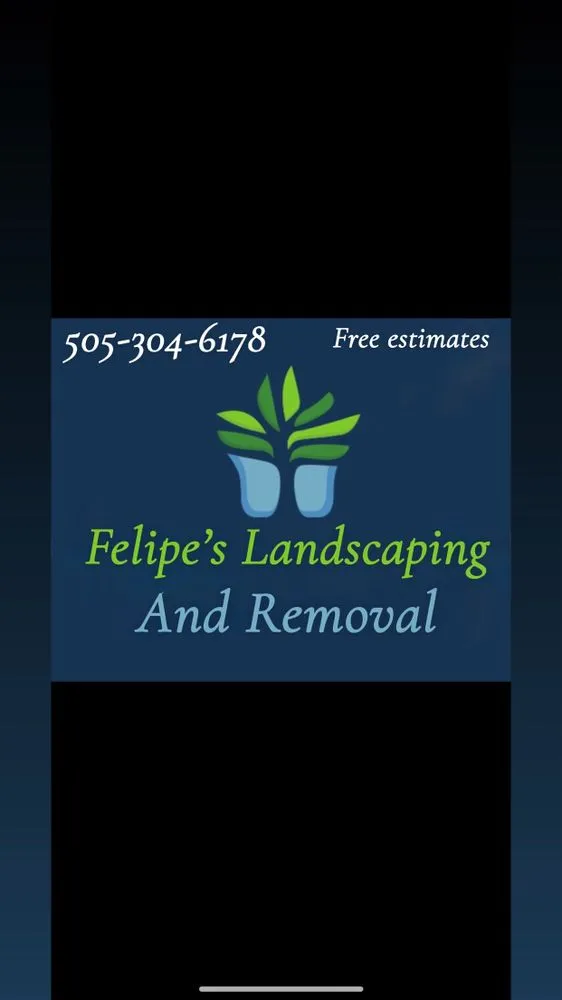 Custom yard cleanup service experts serving Rio Rancho, NM - Felipe’s Landscaping and removal