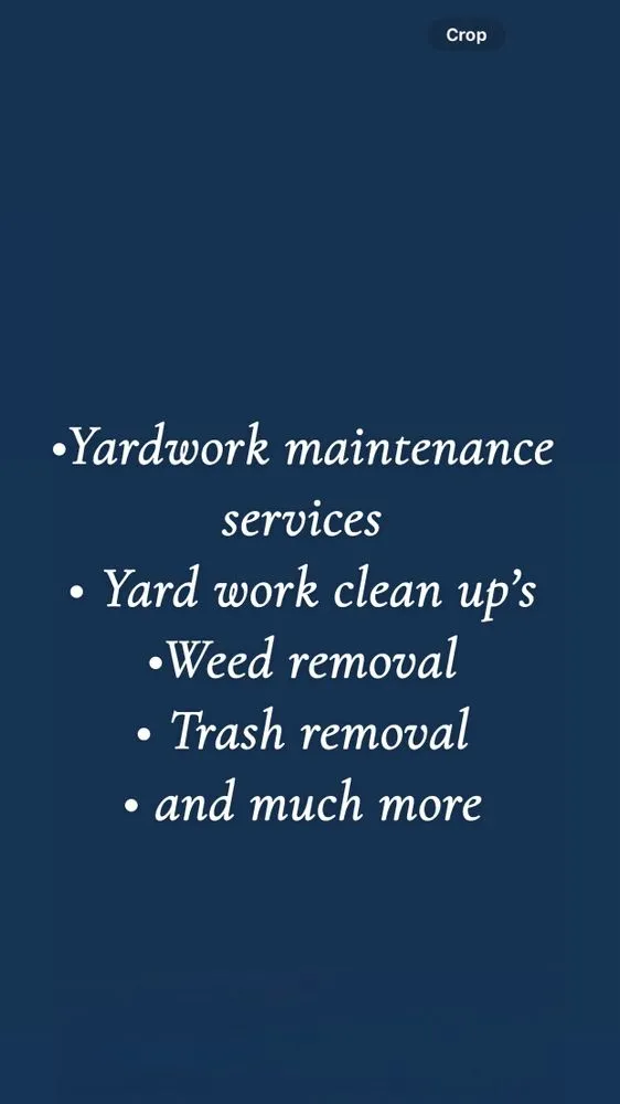 Top-rated landscape design in Rio Rancho, NM by Felipe’s Landscaping and removal