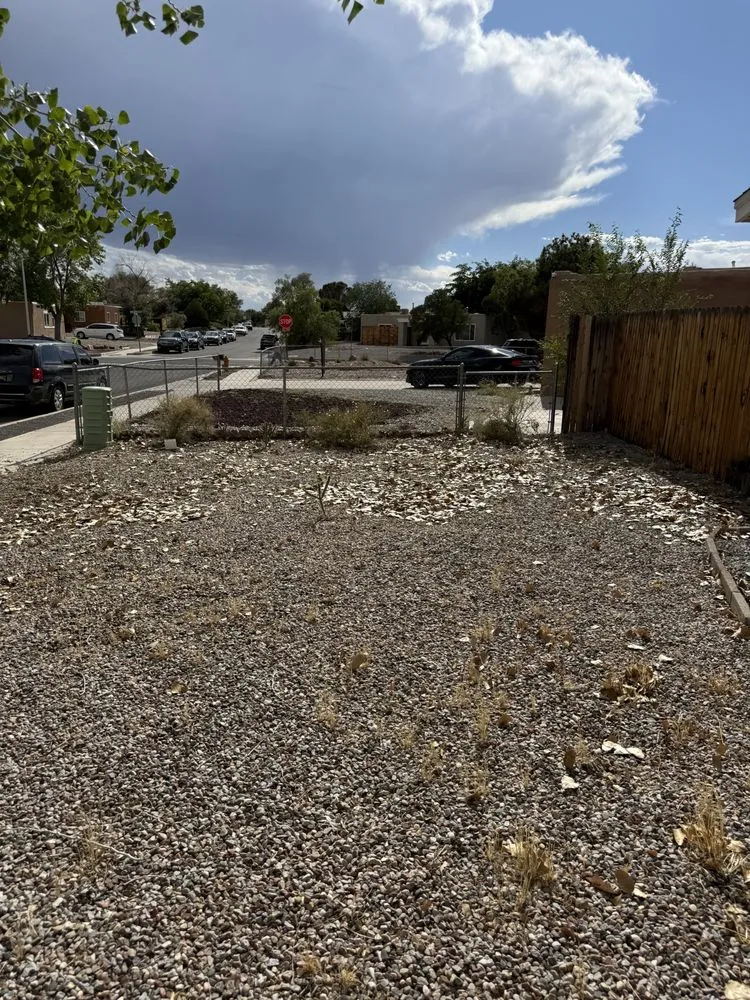 Top-rated yard maintenance near you in Rio Rancho, NM by Felipe’s Landscaping and removal