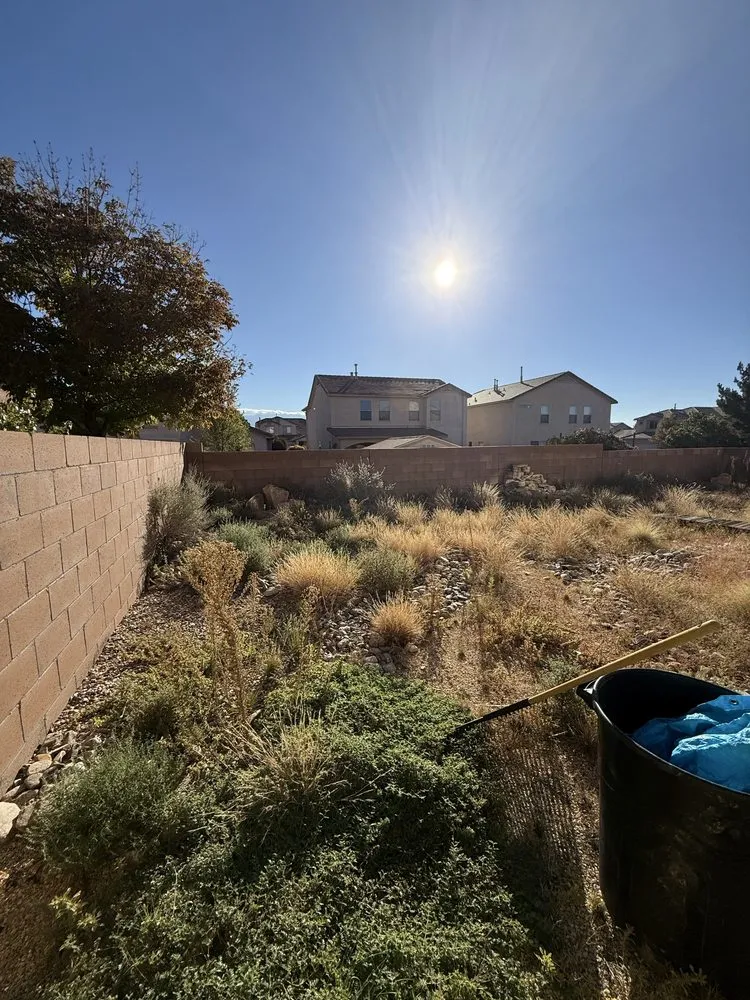 Affordable landscape design near you in Rio Rancho, NM by Felipe’s Landscaping and removal