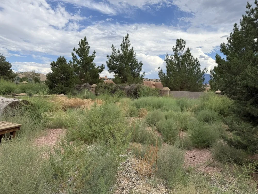 Professional landscaping services experts serving Rio Rancho, NM - Felipe’s Landscaping and removal