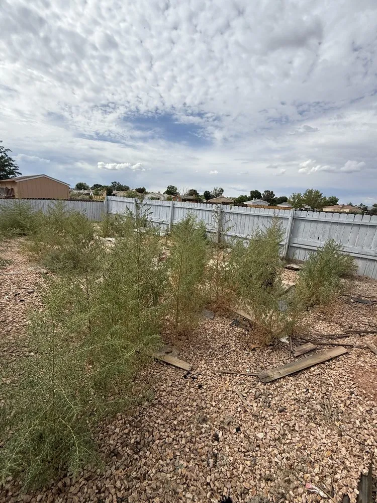 Local landscaping services experts serving Rio Rancho, NM - Felipe’s Landscaping and removal