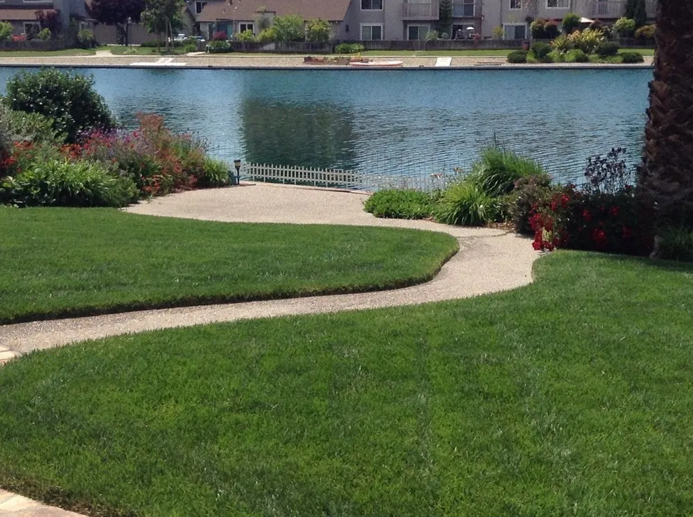 Reliable landscape design in Burlingame, CA - Felipe's Lawn and Garden