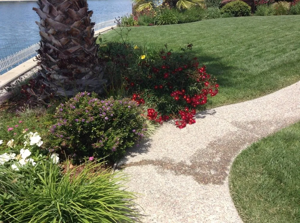 Top-rated outdoor landscaping in Burlingame, CA - Felipe's Lawn and Garden