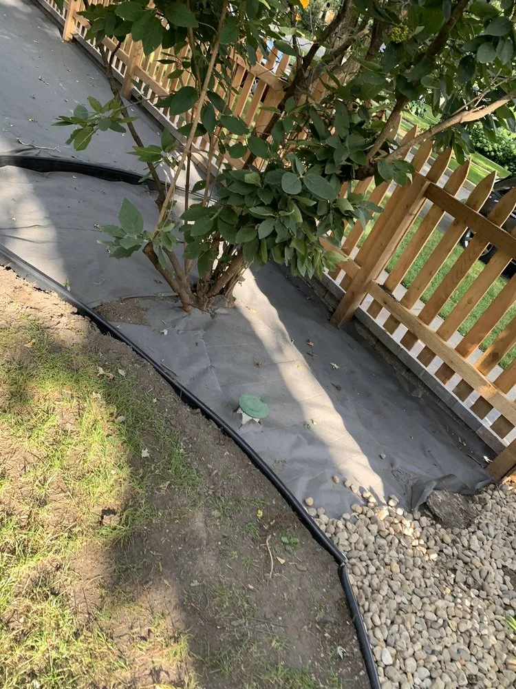 Reliable lawn care service experts serving Chicago, IL - Felipe’s Lawn Care & Snow Removal Services