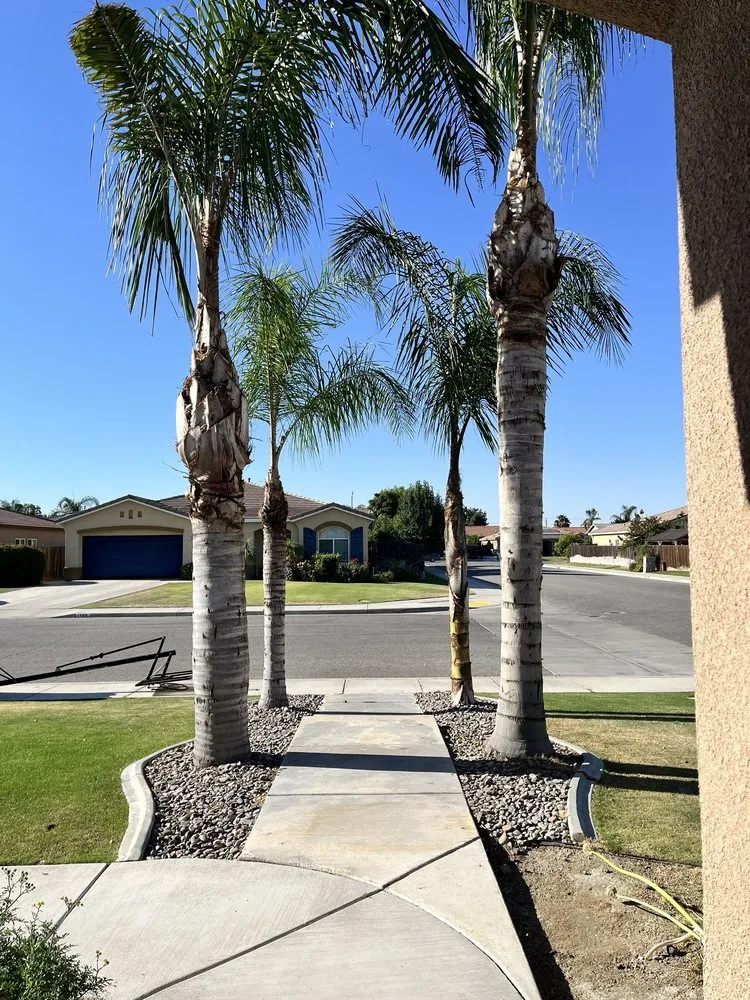 Trusted landscape design in Bakersfield, CA by Felipe’s Lawn Service