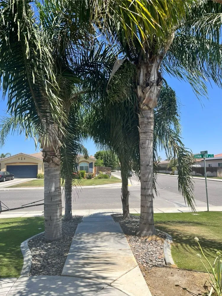 Affordable garden landscaping for homes in Bakersfield, CA by Felipe’s Lawn Service