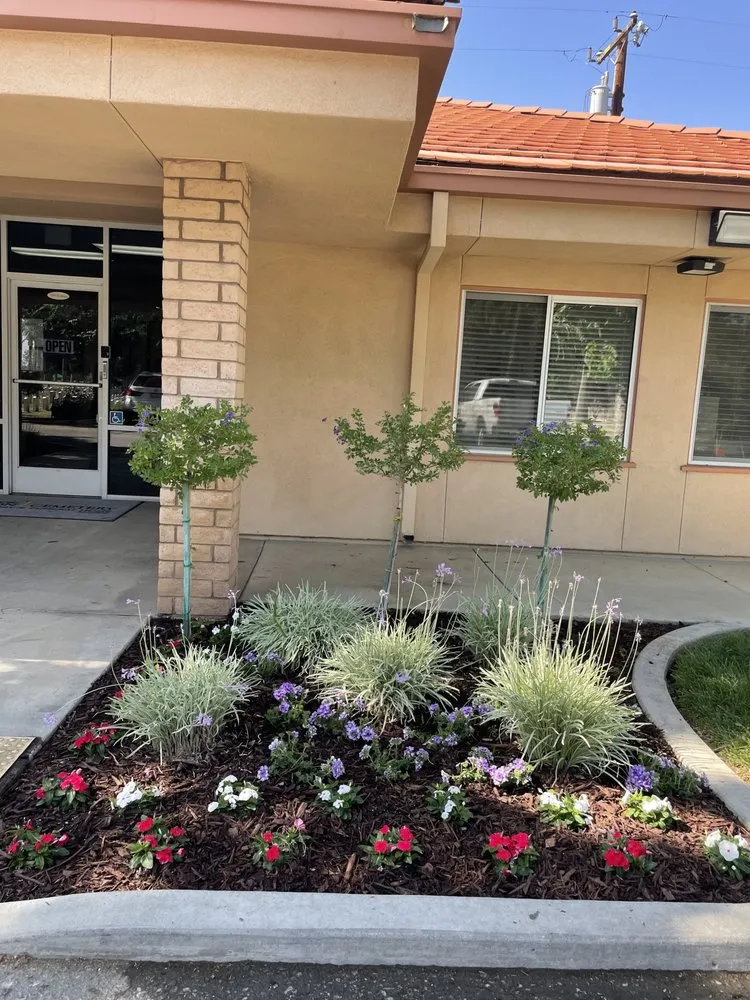 Professional outdoor landscaping for outdoor upgrades in Bakersfield, CA by Felipe’s Lawn Service