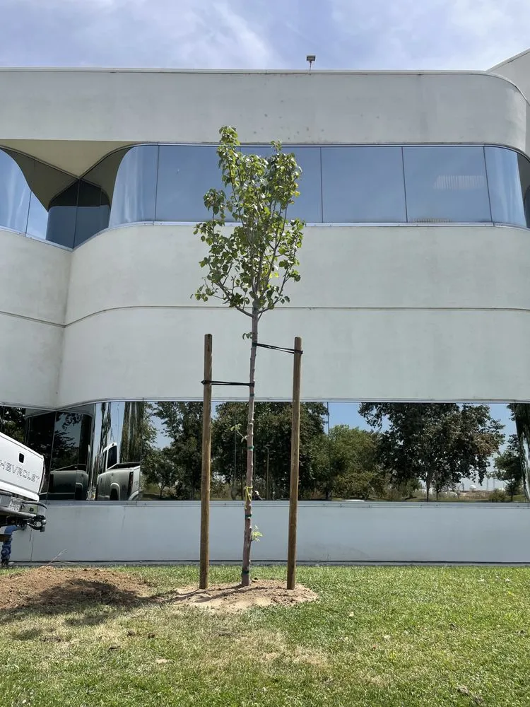 Top-rated lawn mowing service experts serving Bakersfield, CA - Felipe’s Lawn Service