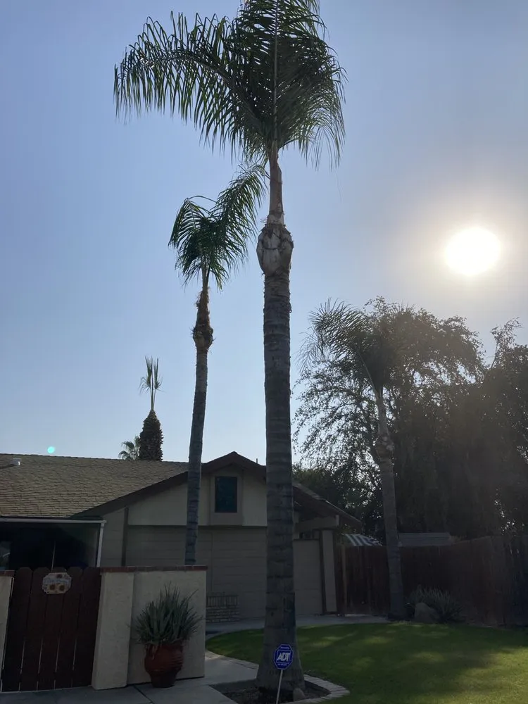 Expert landscape design in Bakersfield, CA by Felipe’s Lawn Service