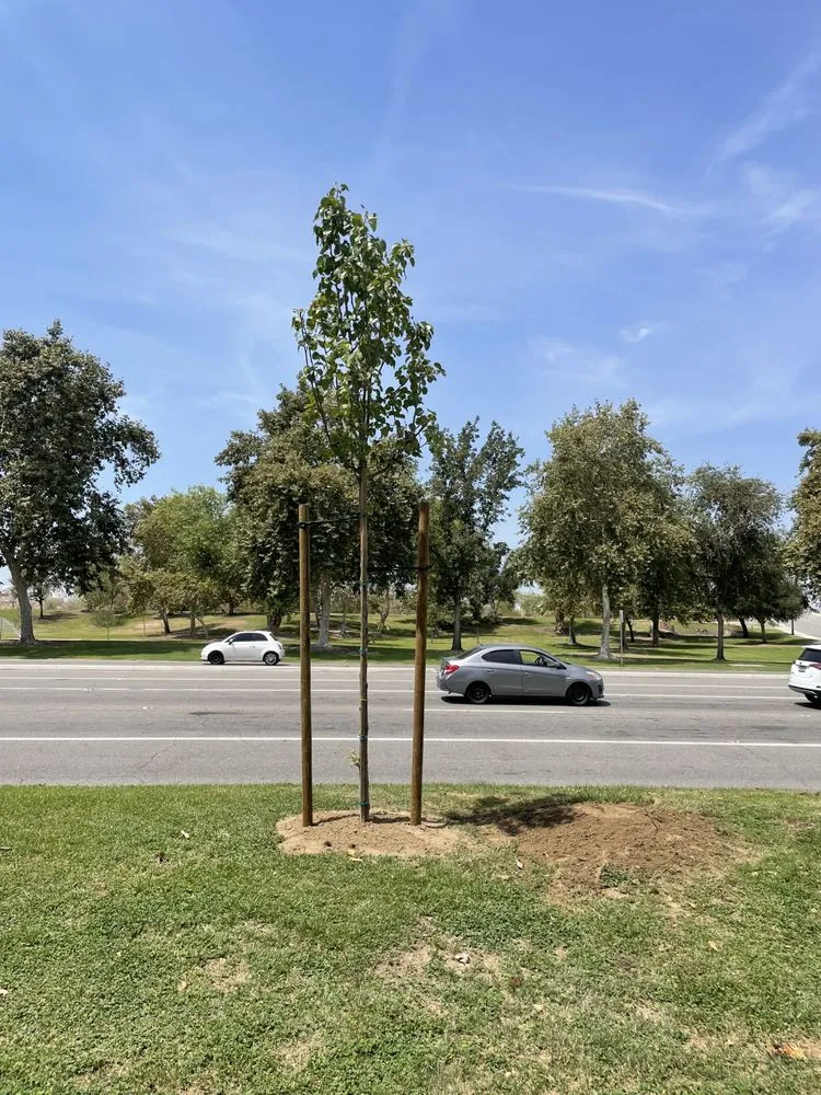 Local landscape design in Bakersfield, CA by Felipe’s Lawn Service