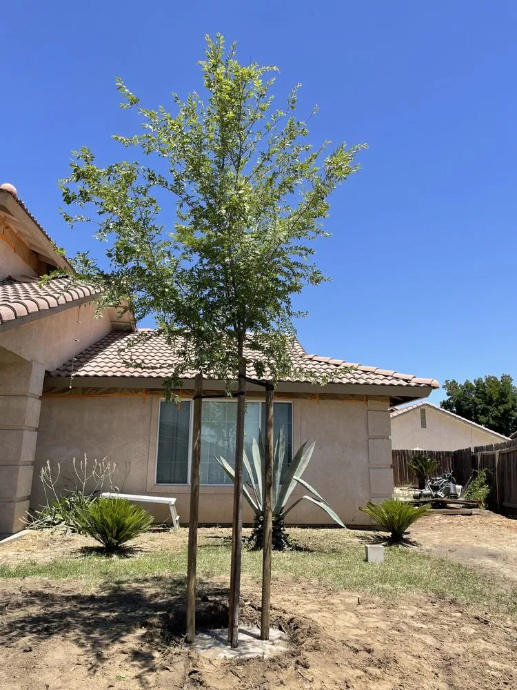 Local yard maintenance experts serving Bakersfield, CA - Felipe’s Lawn Service