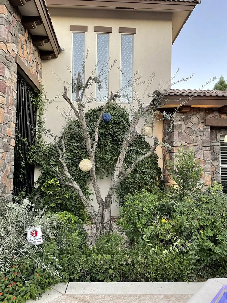 Professional residential landscaping in Bakersfield, CA - Felipe’s Lawn Service