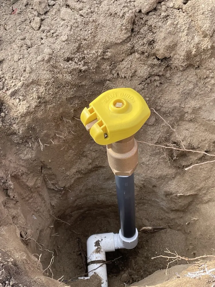 Professional outdoor landscaping experts serving Bakersfield, CA - Felipe’s Lawn Service