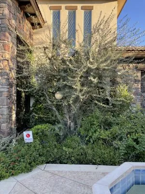 Felipe’s Lawn Service Logo