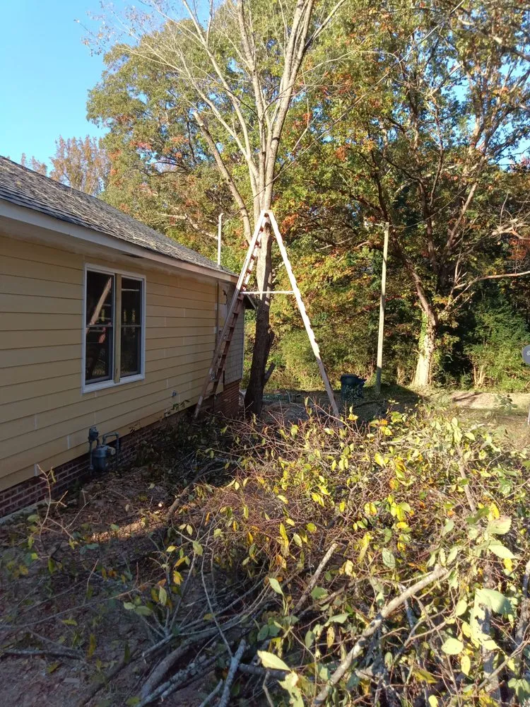 Custom yard maintenance near you across Fayetteville, NC - Felix & Son's Management & More