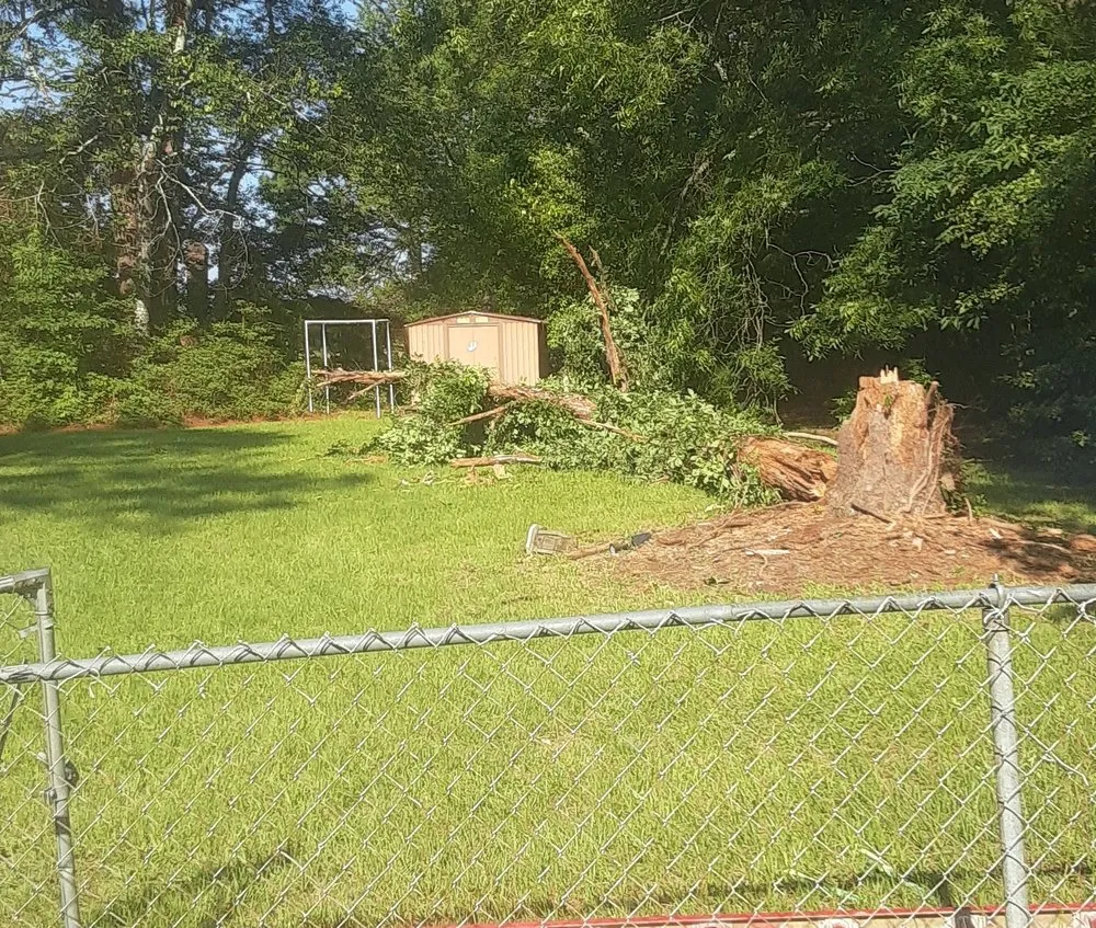 Trusted outdoor landscaping for year-round maintenance across Fayetteville, NC - Felix & Son's Management & More