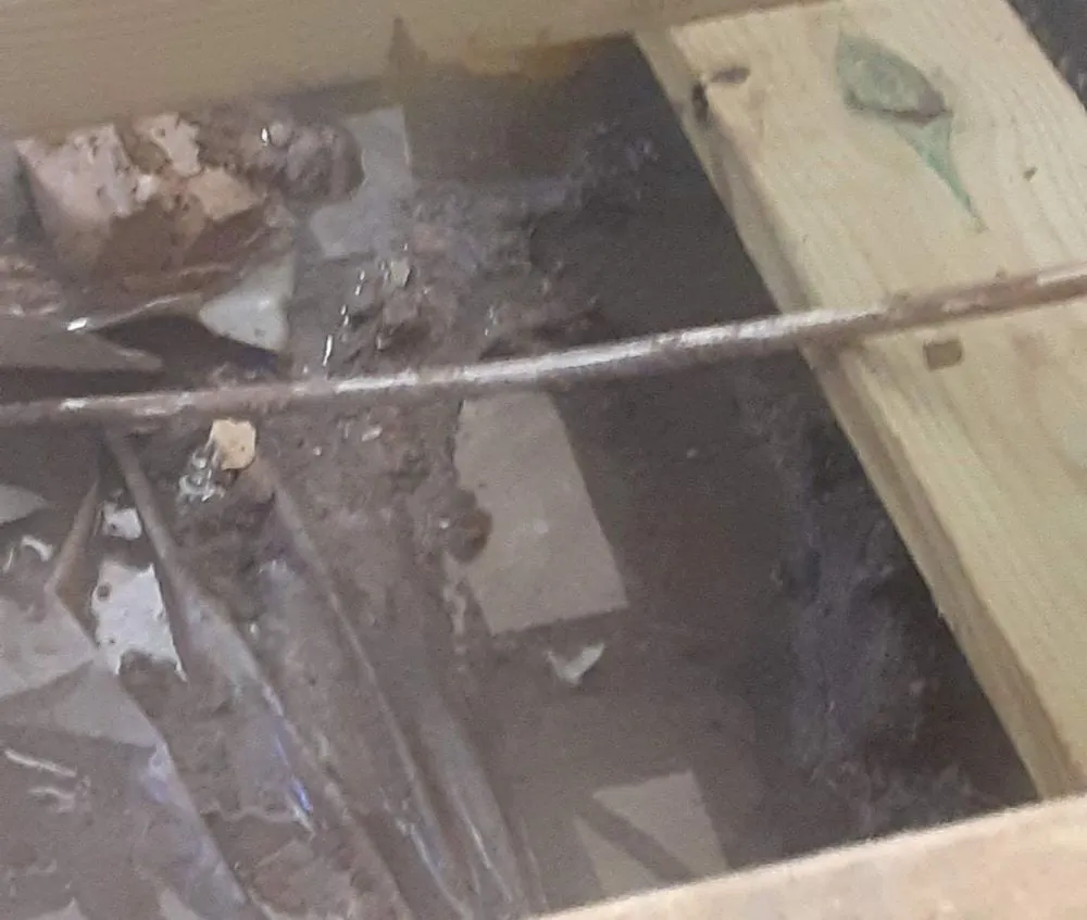 Local landscape design in Fayetteville, NC by Felix & Son's Management & More