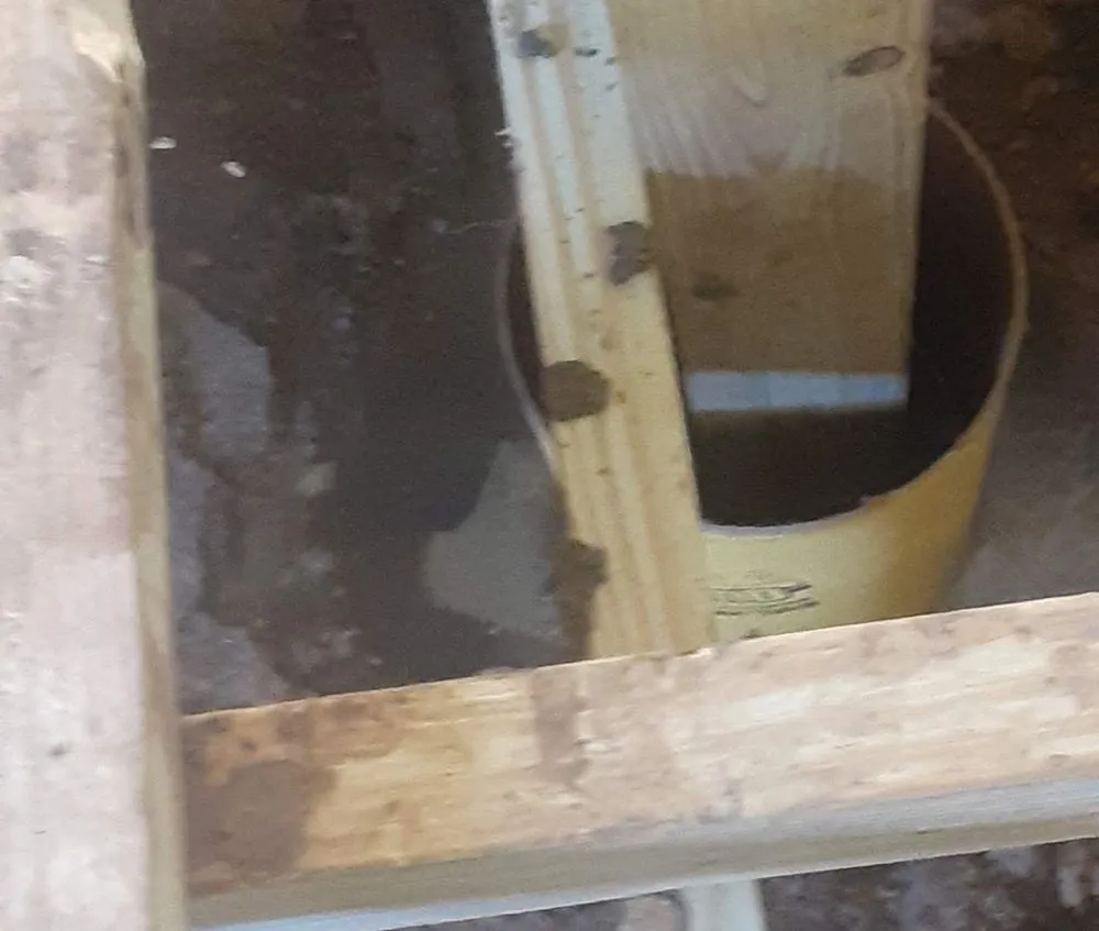 Custom lawn care service for outdoor upgrades across Fayetteville, NC - Felix & Son's Management & More