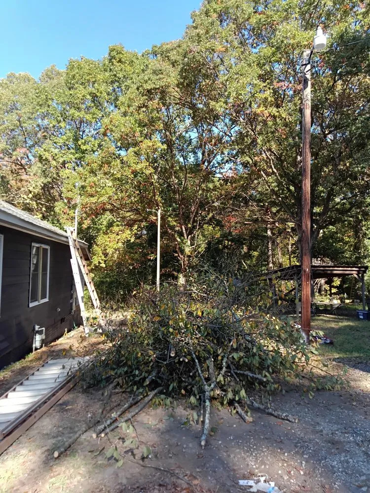 Trusted lawn mowing service with custom design across Fayetteville, NC - Felix & Son's Management & More