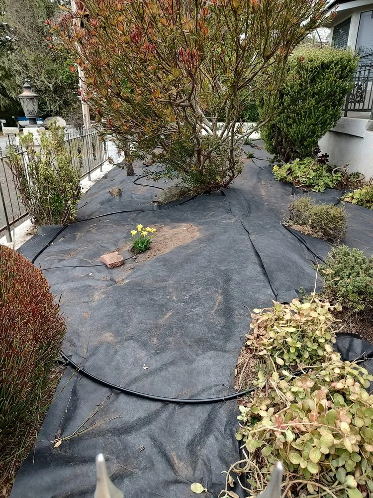 Reliable landscape design in Nipomo, CA by Felix Gardener