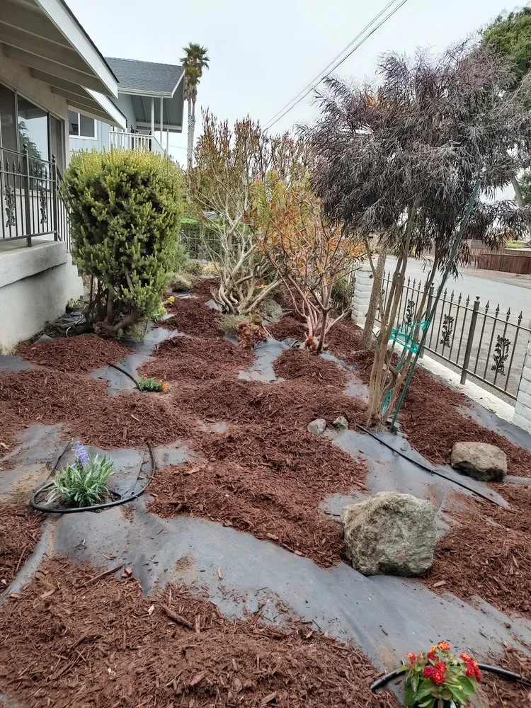 Trusted landscape installation in Nipomo, CA by Felix Gardener