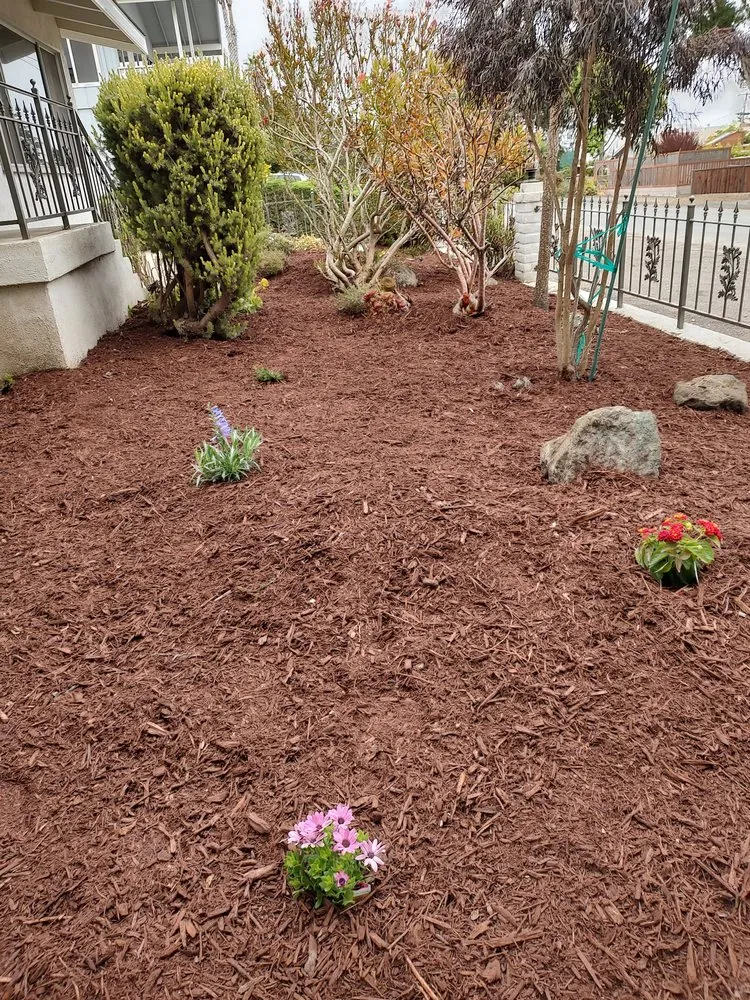 Custom residential landscaping for outdoor upgrades across Nipomo, CA - Felix Gardener