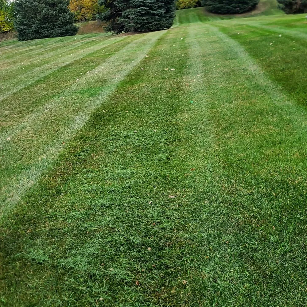 Local yard cleanup service for beautiful yards in Jordan, MN by Felix Gonzalez
