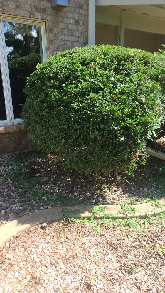 Expert garden landscaping in Jordan, MN - Felix Gonzalez